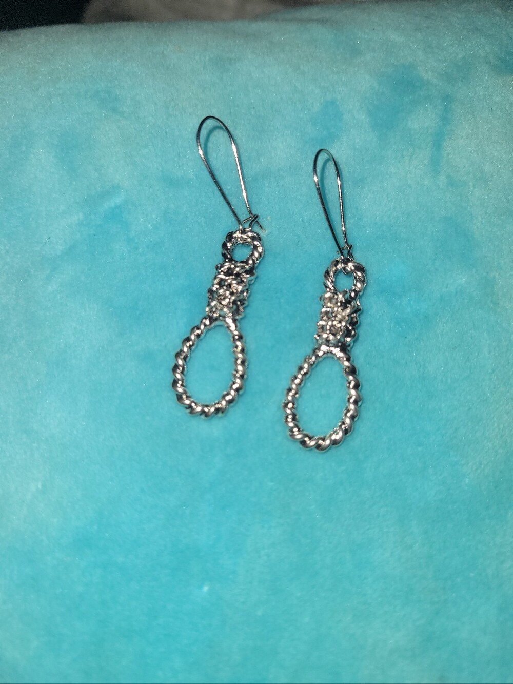 nwot Noose Earrings